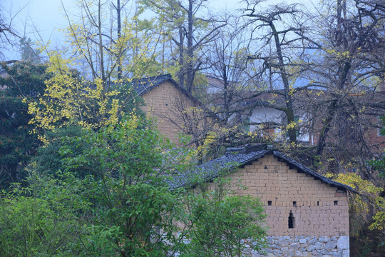 乡村小屋