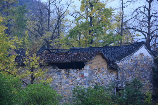 山村小屋