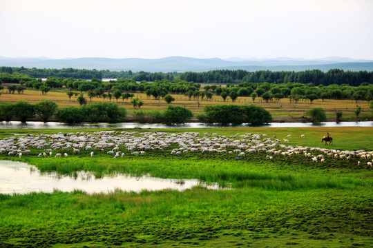 大兴安岭湿地牧场