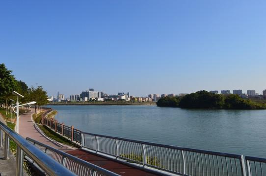 江滨风景