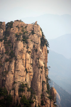 猴子观海 黄山