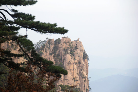 黄山猴子观海