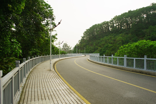 深圳路桥实拍