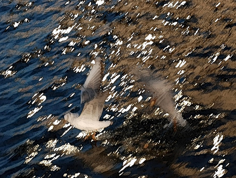 海鷗油畫