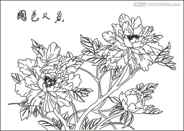 國(guó)色天香