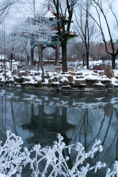 雪后雾凇