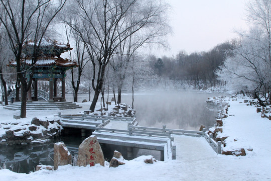 雪后雾凇