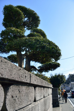 寺院