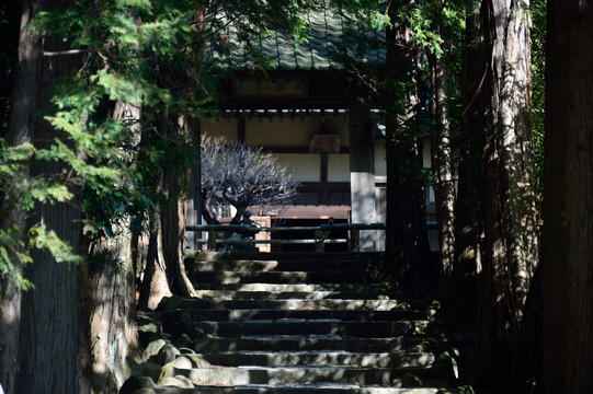 寺院