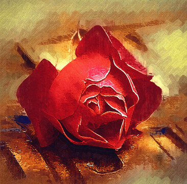 油畫(huà) 紅玫瑰