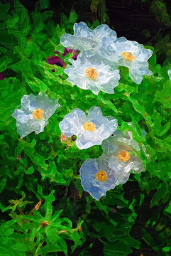 花卉油畫