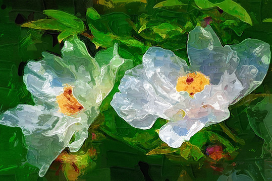 花卉油畫(huà)