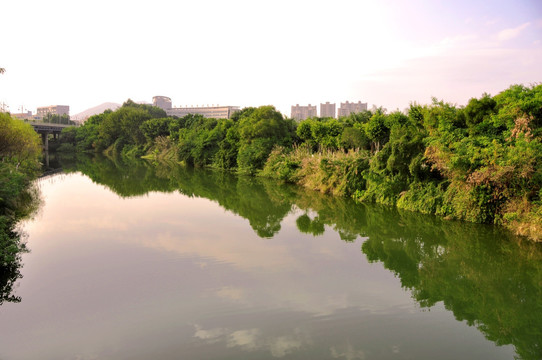 溪流绿岸风景