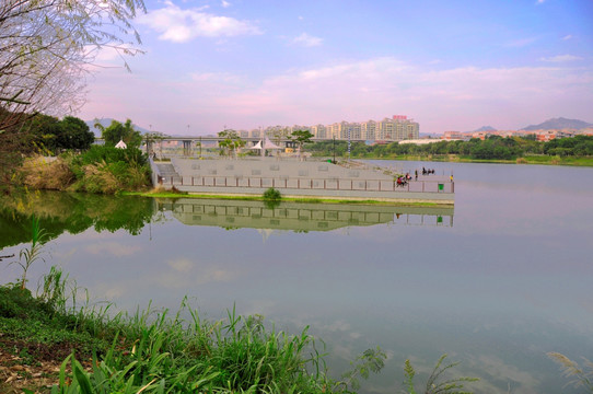 溪流湿地观景台