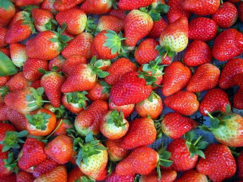 草莓鲜果