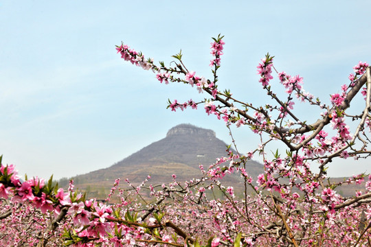 桃花源