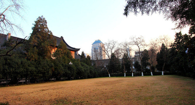 南京大学