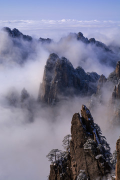 黄山云海