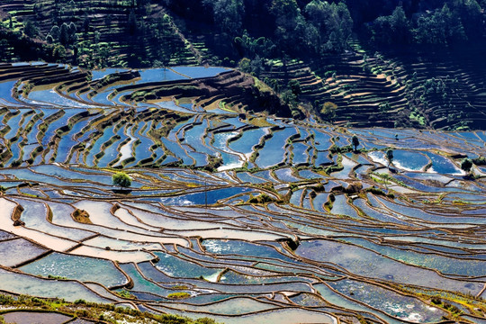 红河甲寅梯田