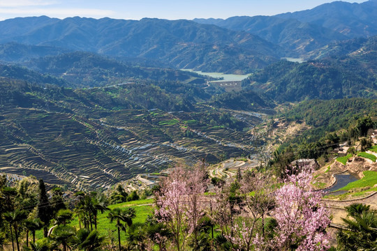 哀牢山红河梯田