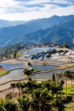 红河甲寅梯田