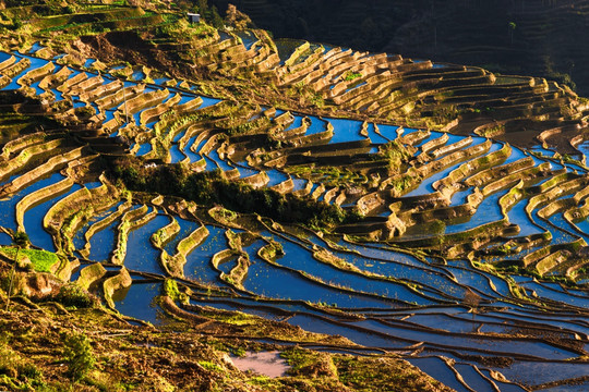 红河甲寅梯田