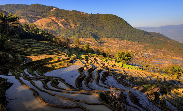 红河撒马坝梯田