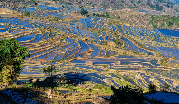 红河撒马坝梯田