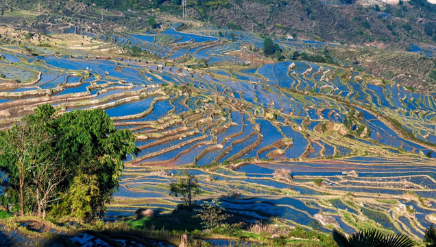 红河撒马坝梯田