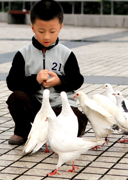 公园广场的儿童喂鸽子