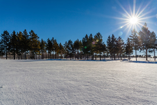 林海雪原