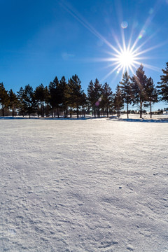 林海雪原