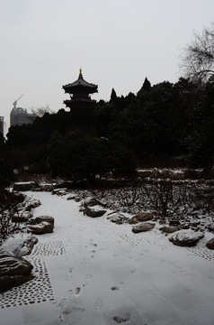 兴庆宫雪景