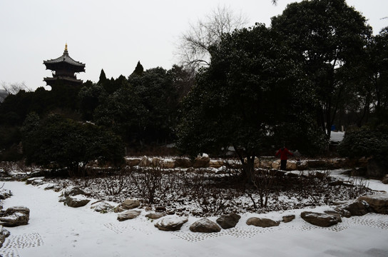 兴庆宫冬日雪景