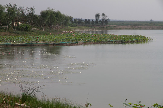 马踏湖风光