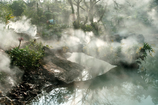 南宁青秀山兰园雾景