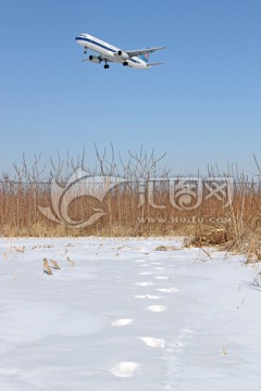 雪地降落的飞机