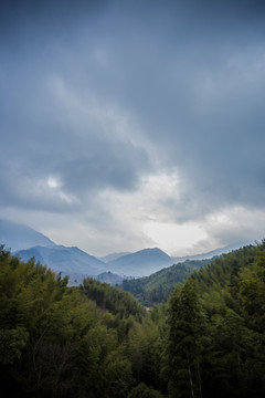 从化星溪村 林