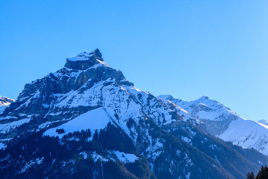 铁力士雪山