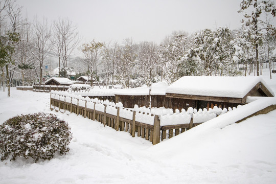 动物园雪景