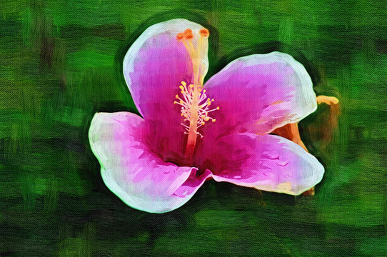 花朵 藝術(shù)畫 TIF無(wú)分層