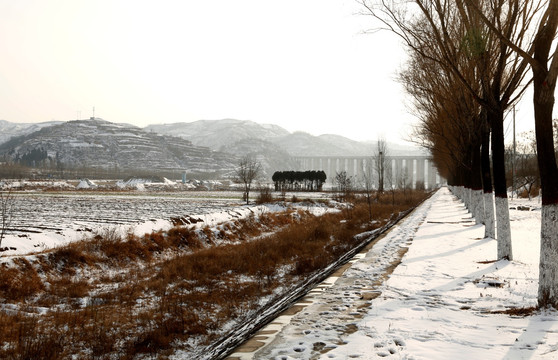 雪景