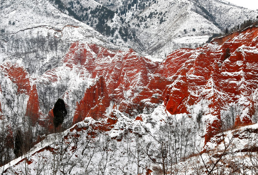 雪中红石谷