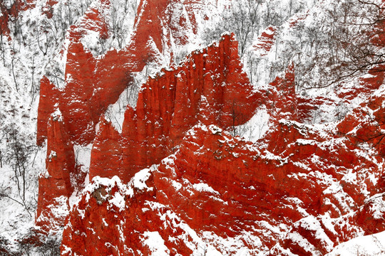 雪中红石谷