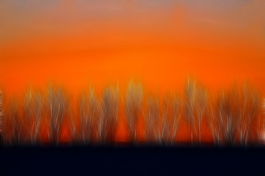 電腦畫(huà) 夕照樹(shù)林
