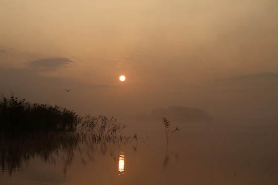 马踏湖日出