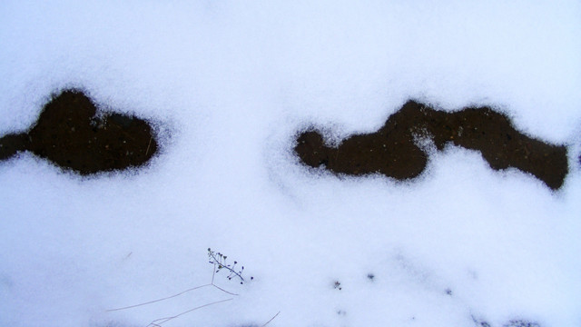 雪地