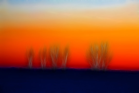 電腦畫(huà) 夕照樹(shù)林