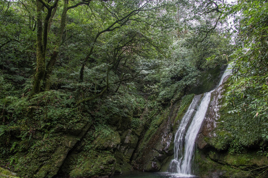 洪雅瓦屋山原始森林