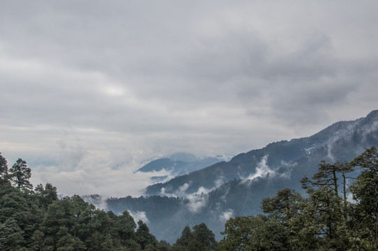 洪雅 瓦屋山原始森林风光